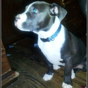 Meet your Posher, Kristen